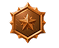 Rank badge
